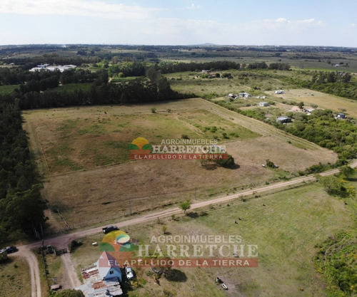 Imagen 5 de 17 de Venta De Chacra Melilla 3 Has Hermoso Paisaje.financia Propietario