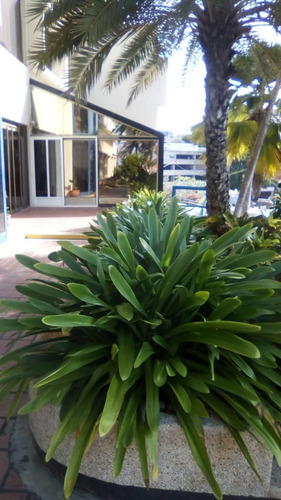 Imagen 4 de 8 de Hotel Margarita