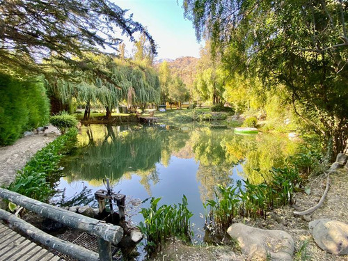 Parcela En Venta En Los Andes
