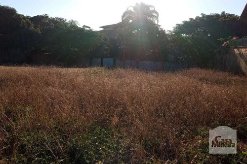 Imagem 2 de 4 de Lote À Venda No São Luíz - Código 264550 - 264550