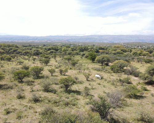 Venta Terreno Arroyo Los Patos