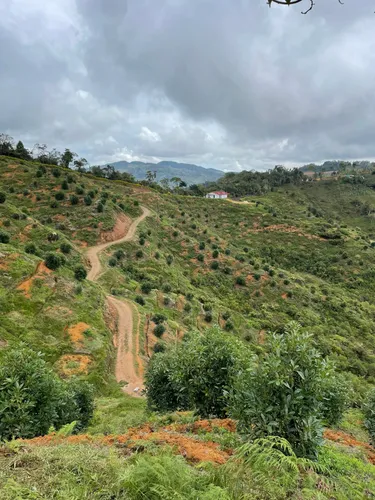 Finca En Venta En Granada. Cod V12640