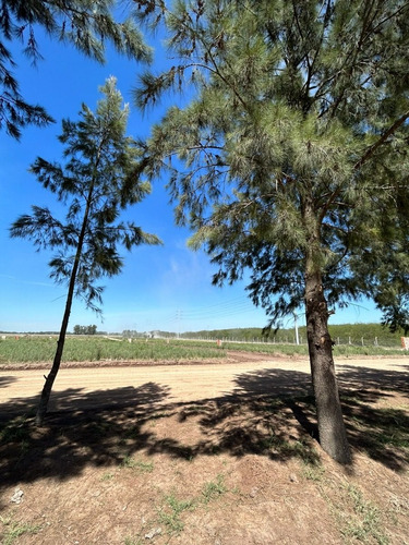 Imagen 13 de 22 de Terreno Lote En Venta Barrio Cerrado Colores Financiado Zona Oeste