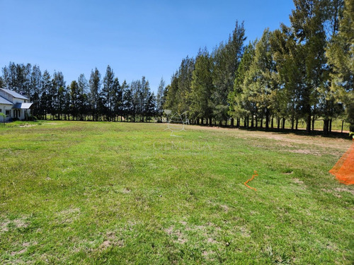 Imagen 11 de 30 de Chacra 5 Hs Con 2 Casas - Consulte !!! - Zona Rural Zona Rural