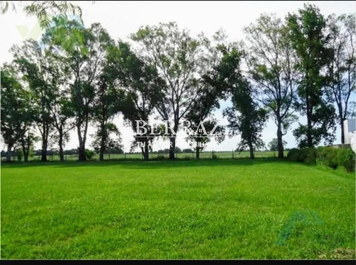 Lote Venta De 1204 M2 En Club De Campo Los Palenques Manzanares Pilar