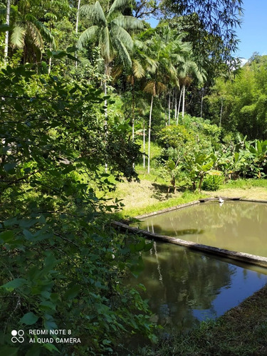 Imagem 17 de 24 de Sítio Com 03 Lagos, Nascentes, Fogão A Lenha, Churrasqueira, Árvores Frutíferas Sendo 70 Pés De Lichia, 150 Pés De Pitaia, No Bairro Faú Em Miracatu, Com 38.000 M² De Área Total Ref: Ch132/ac
