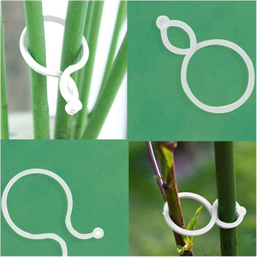 Clips De Jardín Resistentes Para Plantas Trepadoras 40 Cli