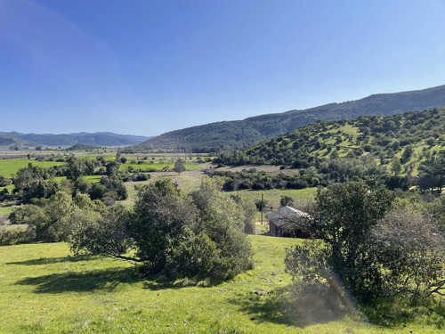 Venta Parcelas Agrado A 3 Horas De Santiago