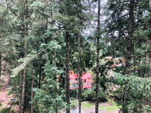 Imagen 10 de 11 de Terreno En Venta Exclusivo Fraccionamiento Campestre Para Su Cabaña