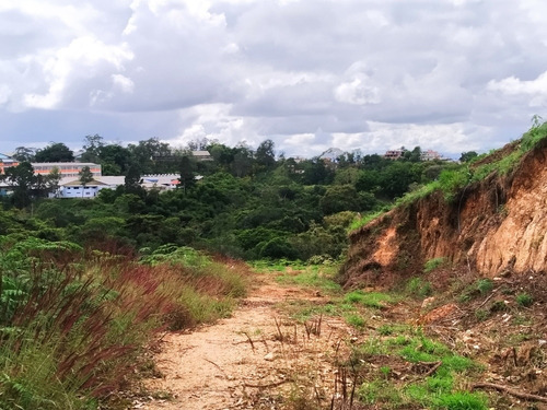 Imagen 4 de 7 de Vendo Lote De Terreno De 45.000 M2, Uso Residencial, Recreacional O Agrícola, Ref. 300.000 - Carrizal Edo. Miranda