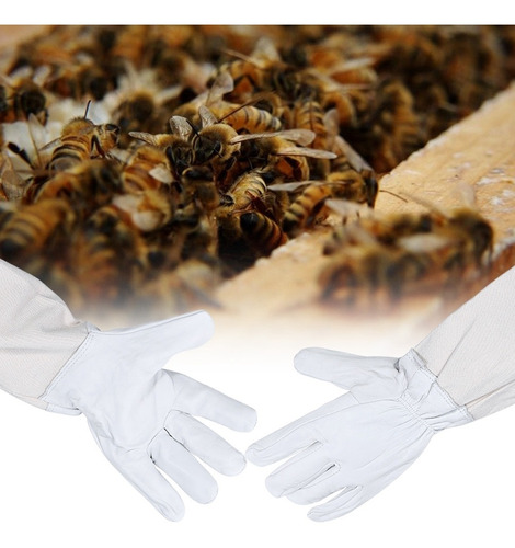 Protección Apícola Guantes Protectores De Piel De Cabra Para