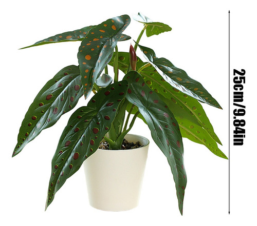 Begonia Grandis Simulada En Maceta Seca Para Decoración De S