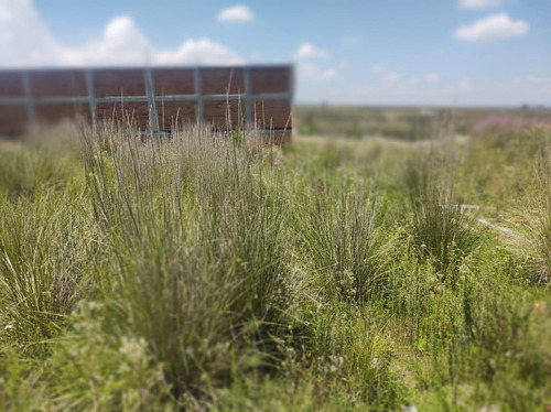 Venta De Terreno Ejidal En Cacalomacan Toluca