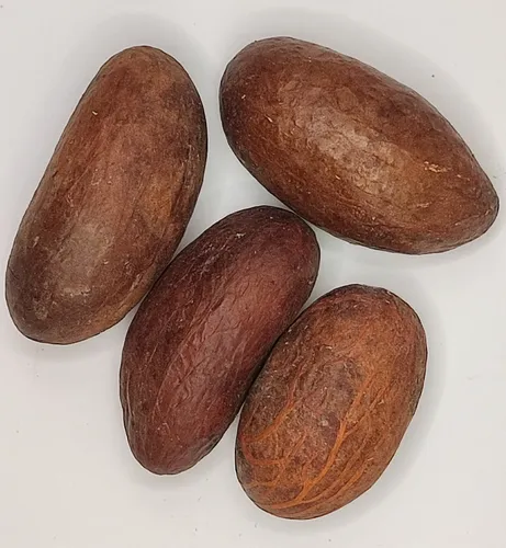 Orogbo | Nuez De Kola Amarga