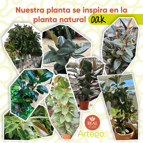 Planta Artificial Con Maceta Decorativa Artego Real Style Oak 80 Cm modelo VIDA-Oak
