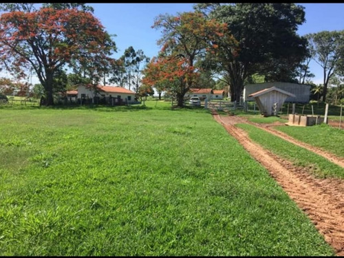 Fazenda À Venda Em Echaporã/sp - Fa00122 - 69026868