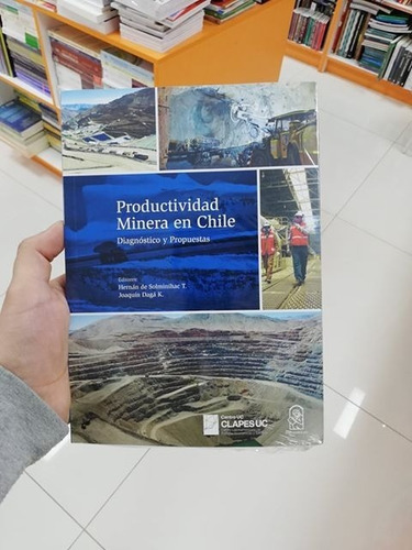 Libro Productividad Minera En Chile (envío Gratis)