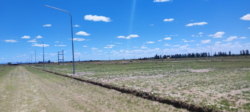Imagen 6 de 6 de Lote 2.000 M En Venta San Rafael Mendoza