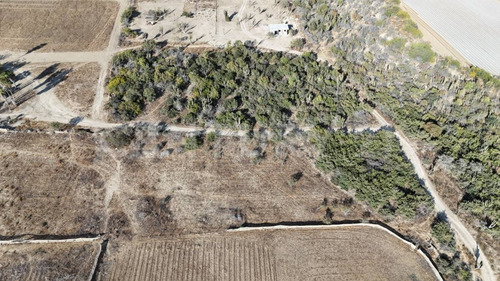 El Palmar, Terreno En Venta En El Pescadero B.c.s.