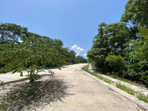 Imagen 13 de 14 de Venta Terrenos En Exclusivo Desarrollo Playa Del Carmen
