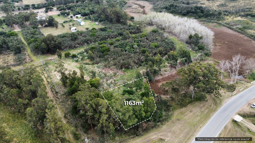 Terreno En Piriápolis (barra De Portezuelo) Ref. 6039
