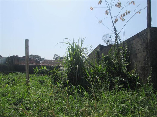 Imagem 1 de 3 de Terreno - Venda - Campos Eliseos - Itanhaem - Ita2169