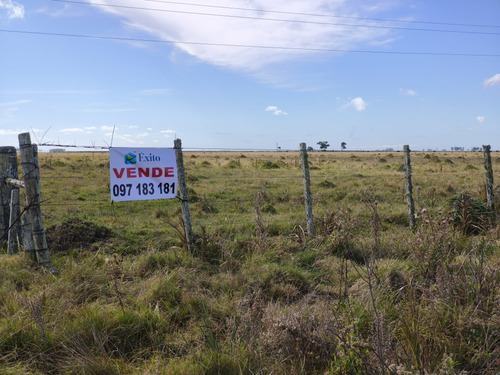 Vendo Campo De 5has Esquinero, Sobre Ruta 19 A 20km Del Chuy, Paraje Isla Negra A 7 Km De 18 De Julio