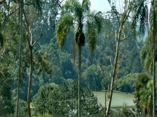 Imagem 1 de 16 de Terreno A Venda No Itaquaciara/mombaça - Te00009 - 32420434