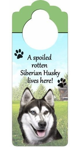 Señal Husky Siberiano De Madera  A Putrefacta Estropeada Hus