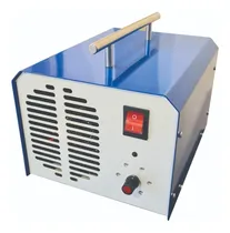 Comprar Cañon De Ozono, Generador De Ozono Profesional Portatil 4 P