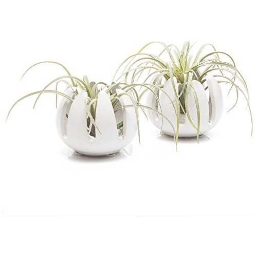 Conjunto De 2 Soportes Plantas De Aire, Contenedor Pequ...