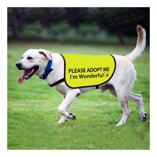 Chaleco De Chaqueta Para Perros De Adopción, Por Favor, Soy Amarillo