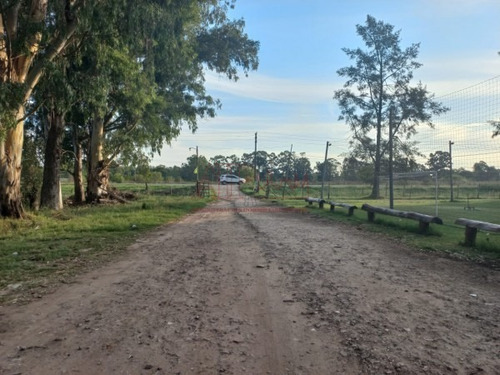 Imagen 29 de 29 de Venta, De Importante Fracciòn De 4 Has, Sobre Ruta Provincial 36.