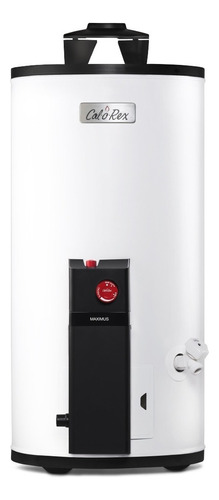 Calentador De Agua Calorex Maximus G10 1 Servicio,38l, Gas