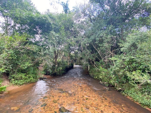 Imagen 14 de 30 de 7 Chacras De 5 Has Cada Una A 20 Km De Aigua Por Ruta 39 - Consulte !!!!!