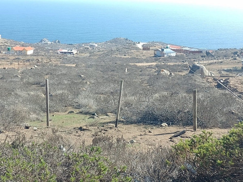 Parcela De Agrado En Arrayan Costero, La Serena.