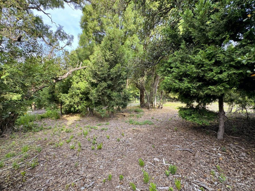 Venta De Lote En Los Riscos, San Martín De Los Andes
