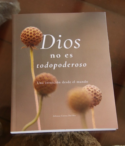 Libro Dios No Es Todopoderoso