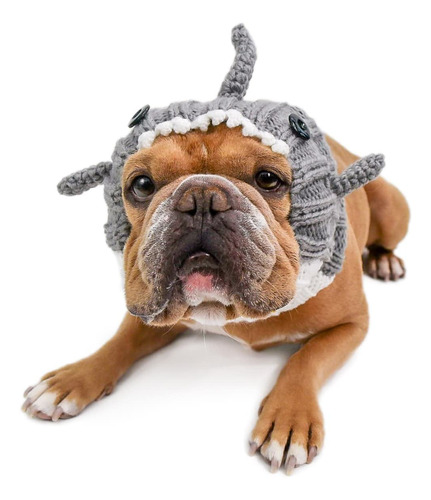 Zoo Snoods Disfraz De Tiburon Gris Para Perros, Mediano  Ca