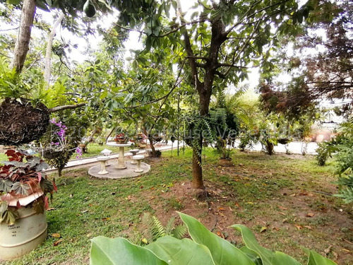 Imagen 19 de 30 de Sp Casa Granja Con Piscina A Minutos Del Este De La Ciudad En Venta En El Cercado Barquisimeto Lara