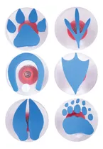 Comprar Sellos Gigantes Huellas De Patas Juego De 6 Sellos De Espuma