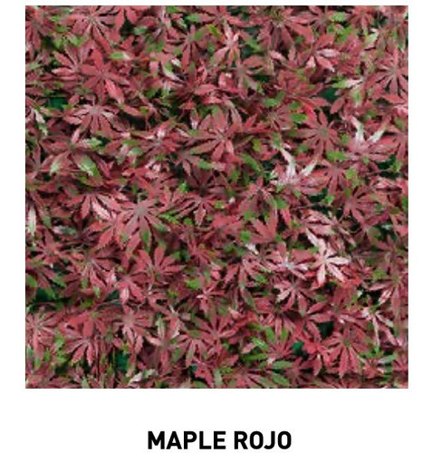 Follaje Artificial, Muros Verdes Maple Rojo