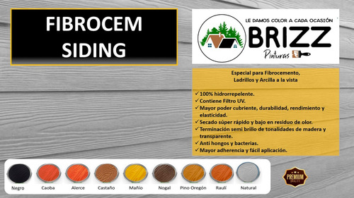 Pintura Fibrocemento Siding Brizz - Galón Colores Varios
