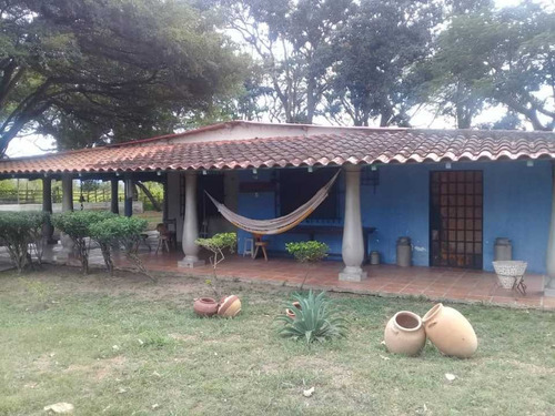 Imagen 2 de 12 de En Venta Finca De 7,5ha