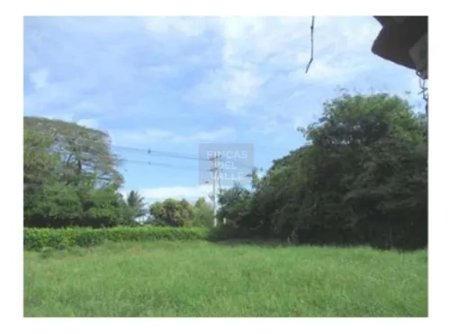 Buga, 23.200 M2, Se Vende Finca Avícola