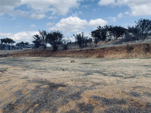 Imagen 13 de 30 de Sitio En Venta En Curacaví