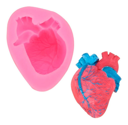 Molde Corazon Realista 3d Silicon Venas Jabon  Reposteria