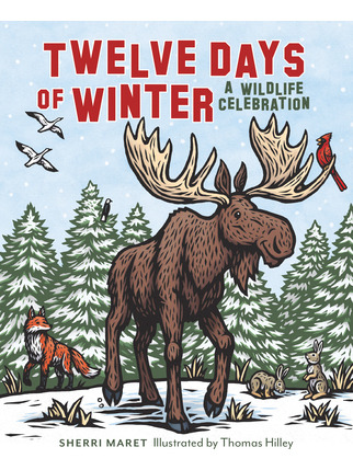 Libro Twelve Days Of Winter: A Wildlife Celebration - Mar...