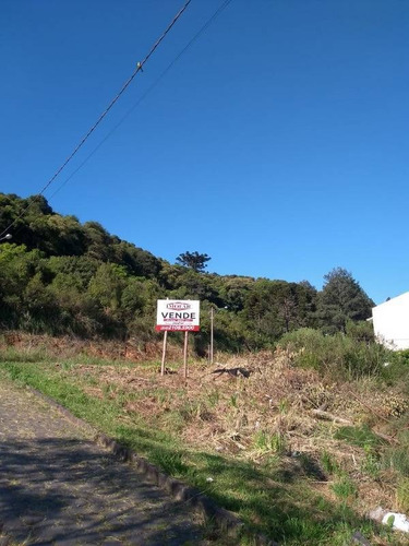 Imagem 2 de 5 de Terreno - Nossa Senhora Da Saude - Ref: 8154 - V-8154
