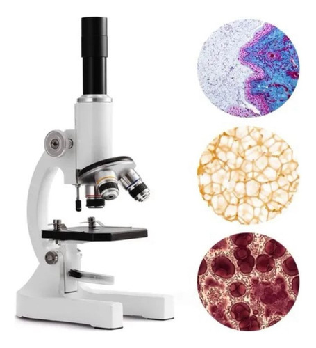 Microscopio Optico Biologico Con Accesorios Blanco